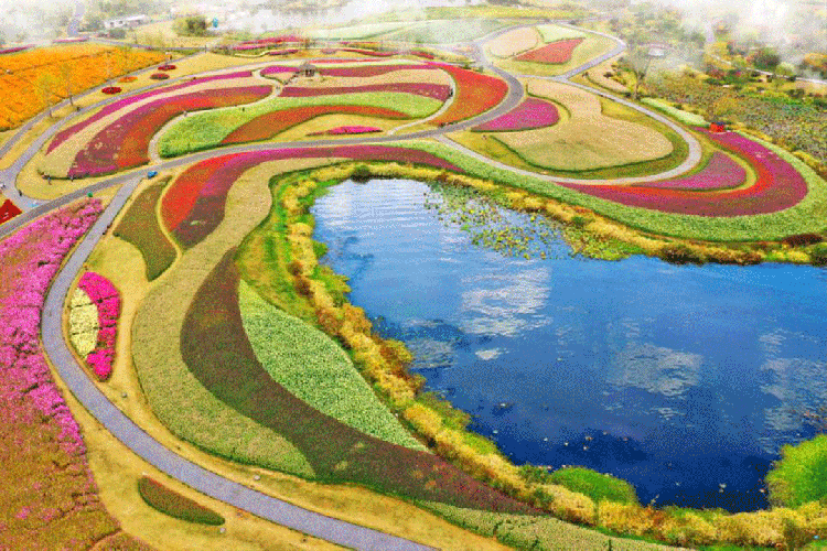 Hi,Spring of YuHang !