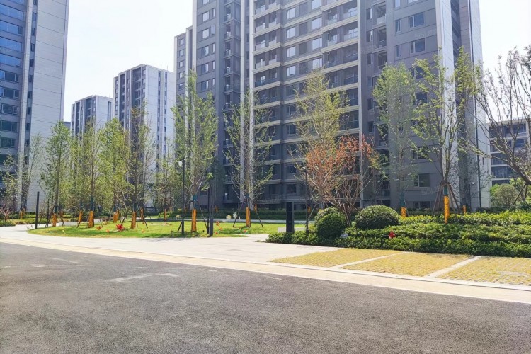 Zhongnan Tangyuewan