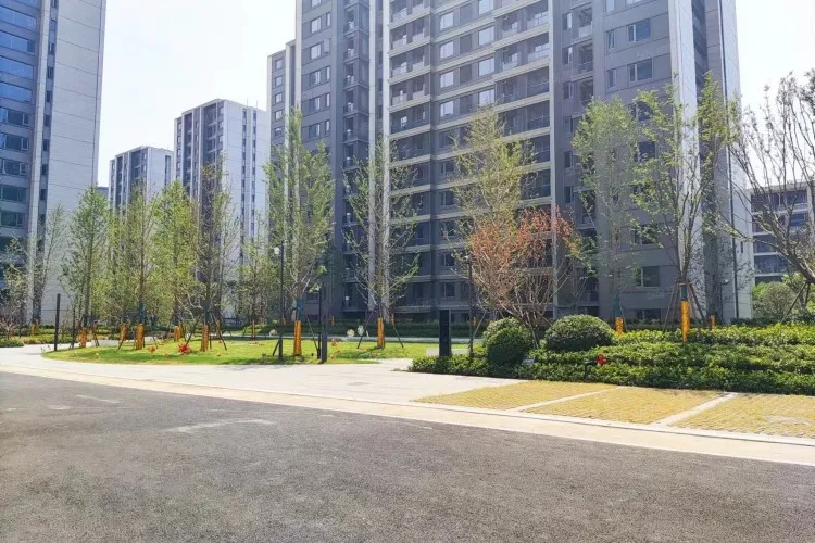 中南棠玥湾